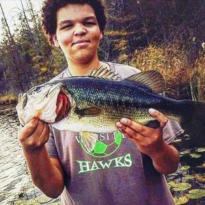 Meet your Posher, Ronnie